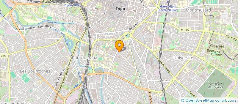 localisation de l'entreprise LBJ EXPRESS  DIJON