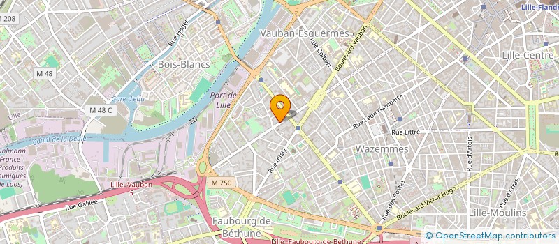 localisation de l'entreprise LC BURGER à LILLE