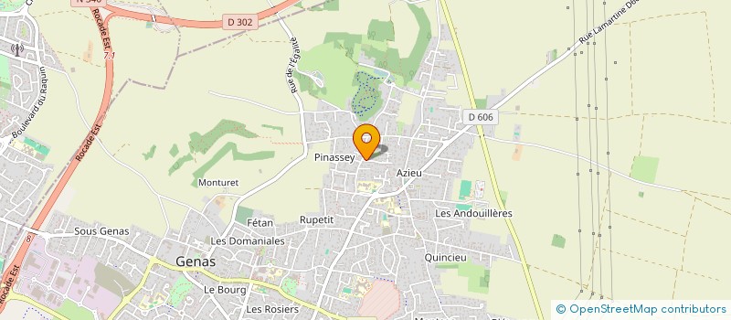 localisation de l'entreprise LD COACHING à GENAS