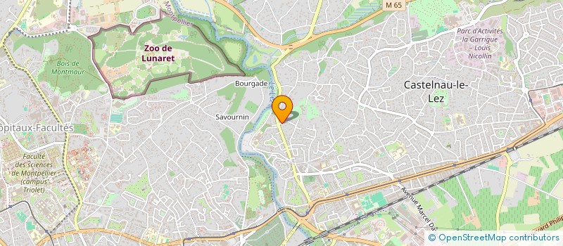 localisation de l'entreprise LDBS CONSULTANT  CASTELNAU-LE-LEZ