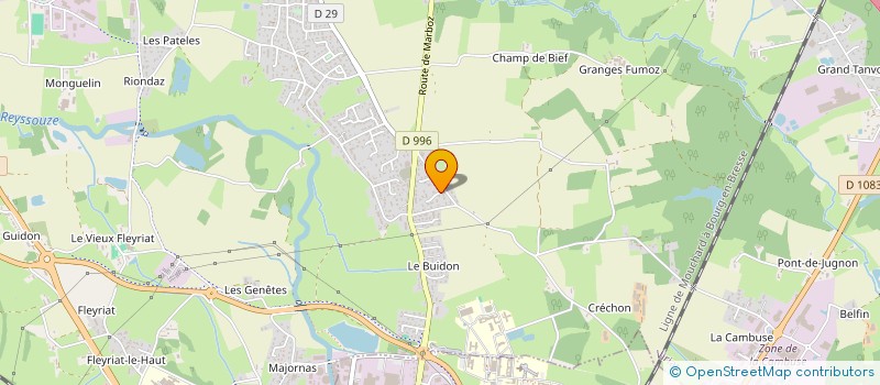 localisation de l'entreprise LDC  VIRIAT