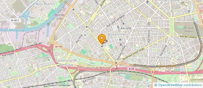 localisation de l'entreprise LDI-CONSEIL ET INGENIERIE FINANCIERE à LILLE