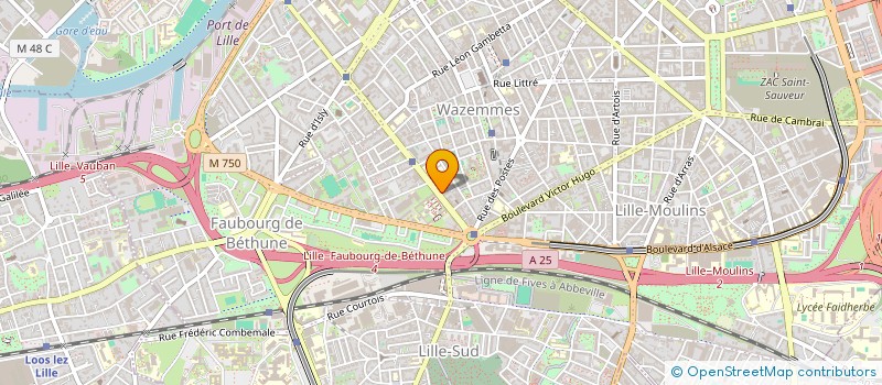 localisation de l'entreprise LDI TRANSPORT à LILLE