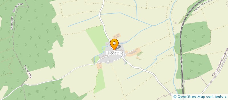 localisation de l'entreprise LE 121224 à COUSANCES-LES-TRICONVILLE