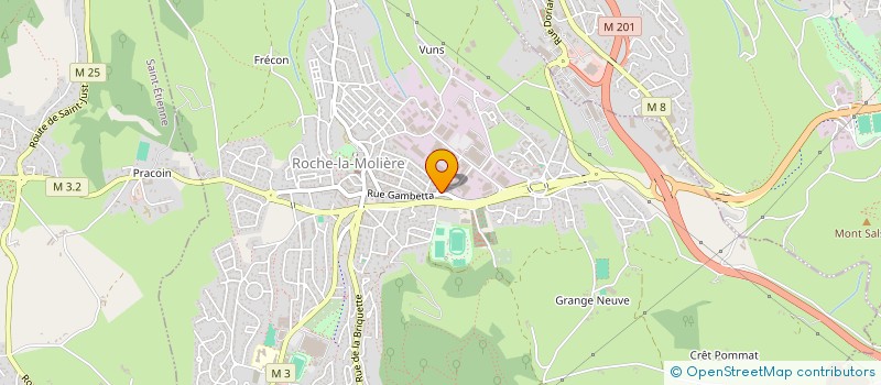 localisation de l'entreprise LE 1615  ROCHE-LA-MOLIERE