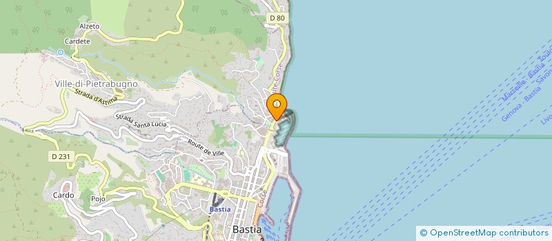 localisation de l'entreprise LE 20215 à BASTIA