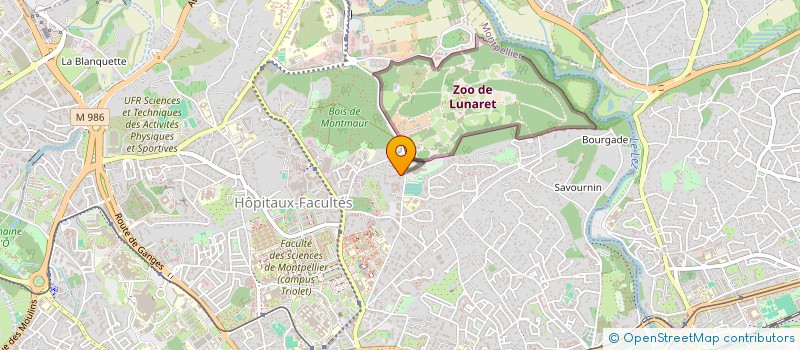 localisation de l'entreprise LE BAL DES MUSES à MONTPELLIER