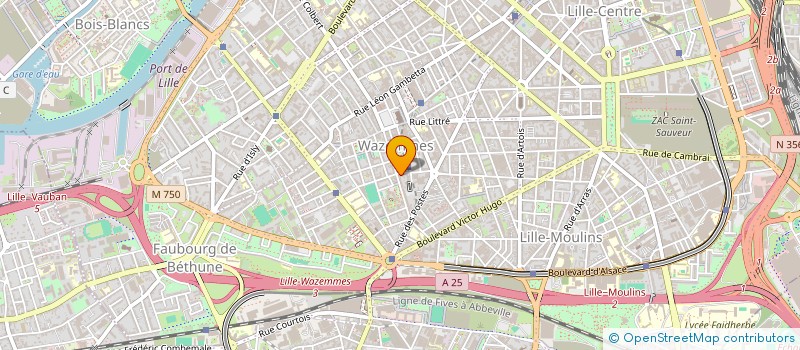 localisation de l'entreprise LE BALYAN à LILLE