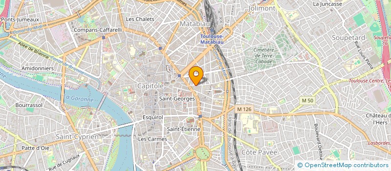 localisation de l'entreprise LE BASILIC DANS LA POCHE  TOULOUSE