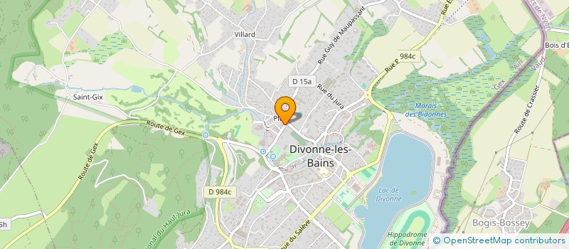 localisation de l'entreprise LE BEAUREGARD  DIVONNE-LES-BAINS