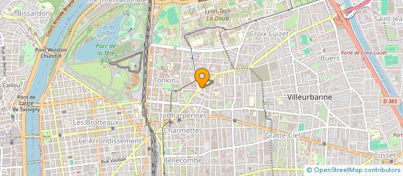 localisation de l'entreprise LE BEFORE LOUNGE  VILLEURBANNE