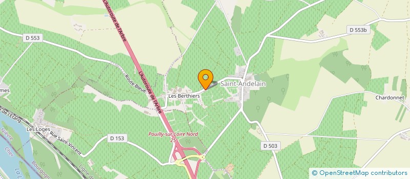 localisation de l'entreprise LE BELVEDERE DE SAINT ANDELAIN à SAINT-ANDELAIN