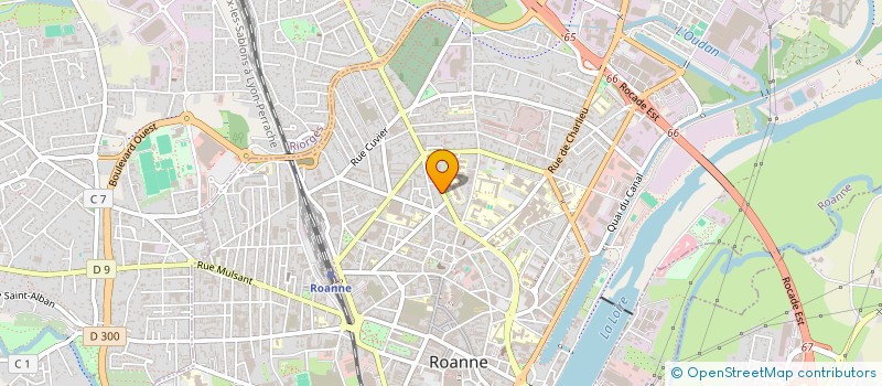 localisation de l'entreprise LE BERLINER  ROANNE