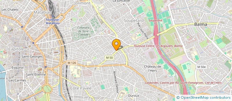localisation de l'entreprise LE BIDOUILLE ART à TOULOUSE