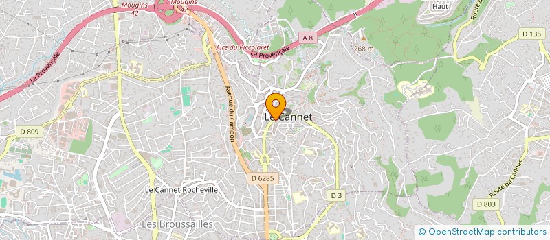 localisation de l'entreprise LE BILBOQUET  MOUGINS