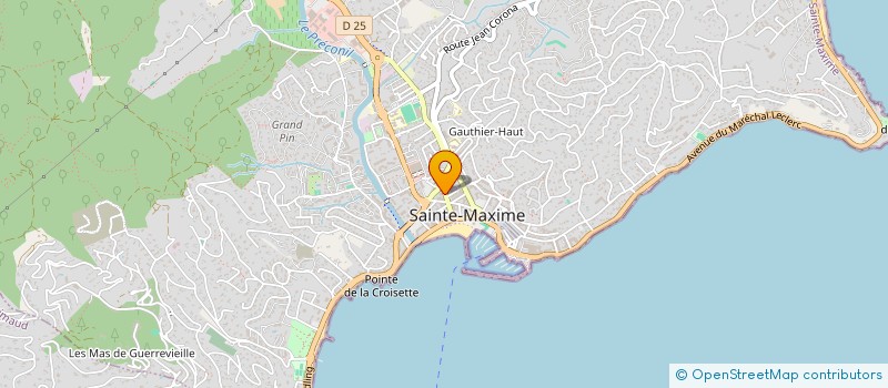 localisation de l'entreprise LE BIRDY à SAINTE-MAXIME