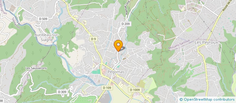 localisation de l'entreprise LE BISTROT PROVENCAL  PEGOMAS