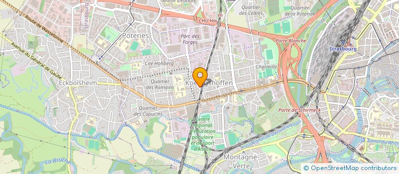 localisation de l'entreprise LE BOIS DANS TOUS SES ETATS à STRASBOURG