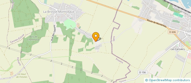 localisation de l'entreprise LE BONHEUR SIMPLE DU JEU  LA BROSSE-MONTCEAUX