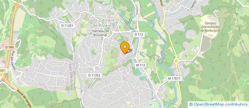 localisation de l'entreprise LE BOUQUET D ARBRES  SAINT-CLEMENT-DE-RIVIERE