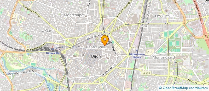 localisation de l'entreprise LE BRIGHTON  DIJON