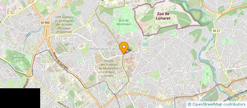 localisation de l'entreprise LE BUFFET DES GRAVES à MONTPELLIER