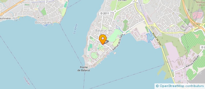 localisation de l'entreprise LE CAFE DES BAINS  BALARUC-LES-BAINS