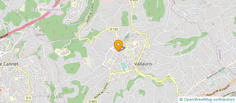localisation de l'entreprise LE CAFE DU COIN à VALLAURIS