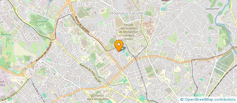 localisation de l'entreprise LE CAP TRIOLET INDIVISION à MONTPELLIER