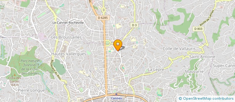 localisation de l'entreprise LE CAPRICORNE  CANNES