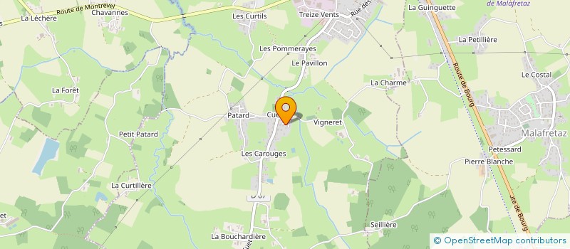 localisation de l'entreprise LE CAROUGE  MONTREVEL-EN-BRESSE