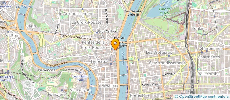 localisation de l'entreprise LE CAVEAU DES GOURMETS à LYON