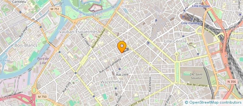 localisation de l'entreprise LE CAVISTE DE L'ARSENAL à LILLE