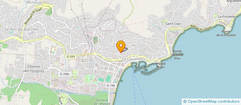 localisation de l'entreprise LE CEDRE BLEU à LE LAVANDOU