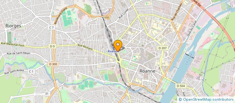 localisation de l'entreprise LE CENTRAL à ROANNE