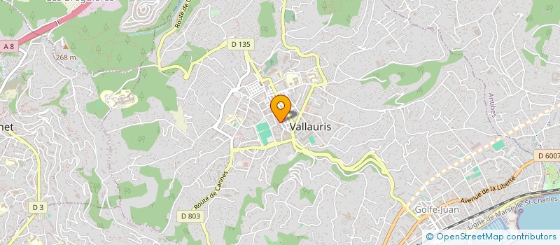 localisation de l'entreprise LE CENTRAL  VALLAURIS