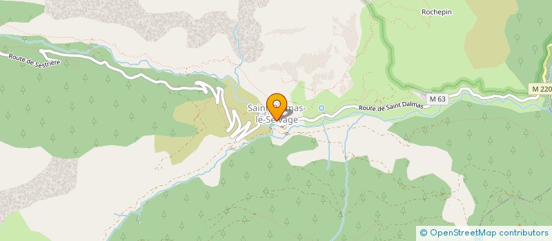 localisation de l'entreprise LE CHALET D'AURON  SAINT-ETIENNE-DE-TINEE