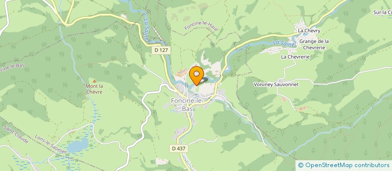 localisation de l'entreprise LE CHALET PRES DU MOULIN  FONCINE-LE-BAS