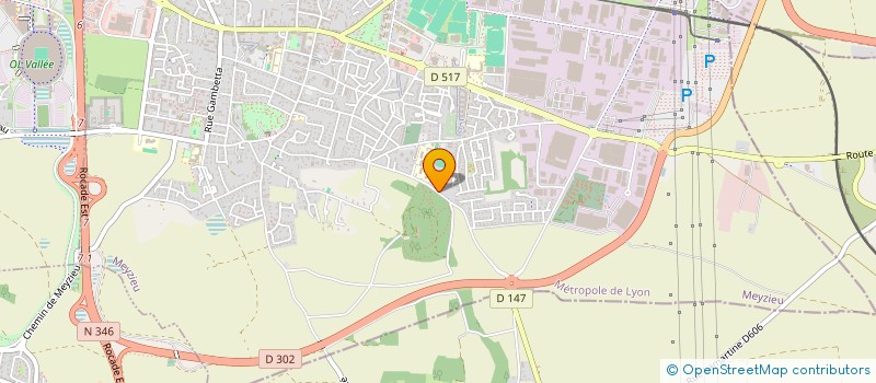 localisation de l'entreprise LE CHAUFFEUR DU GONE à MEYZIEU