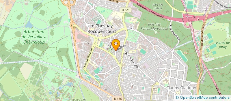 localisation de l'entreprise LE CHESNAY DANSE SPORTIVE  LE CHESNAY-ROCQUENCOURT