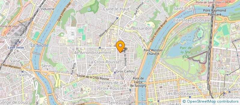 localisation de l'entreprise LE CHICON  LYON