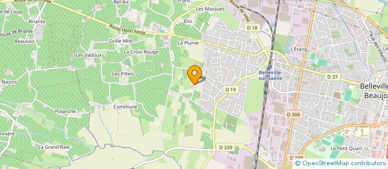 localisation de l'entreprise LE CHIEN A 3 PATTES  BELLEVILLE-EN-BEAUJOLAIS