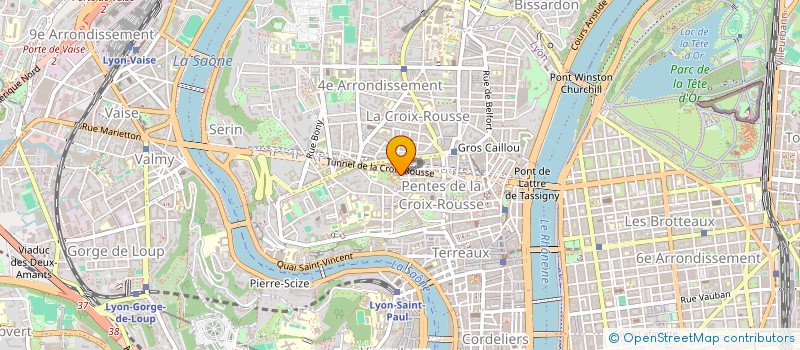 localisation de l'entreprise LE CHIEN MOUILLE  SAINT-ETIENNE