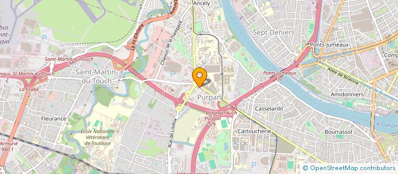 localisation de l'entreprise LE CHINATOWN  TOULOUSE