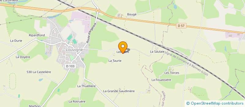 localisation de l'entreprise LE CLOS DE LA PIERRE NOIRE  LOUVIGNE