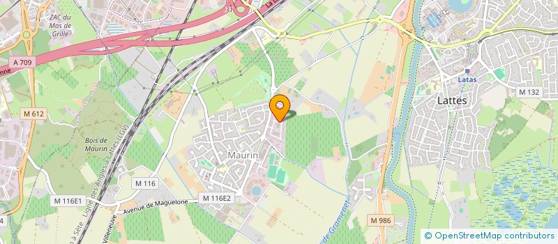 localisation de l'entreprise LE CLUB   RESTAURANT - TRAITEUR à LATTES