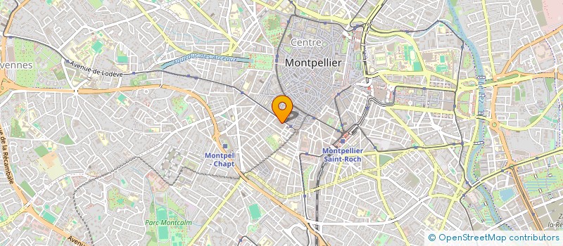 localisation de l'entreprise LE COEUR A BARBE à MONTPELLIER