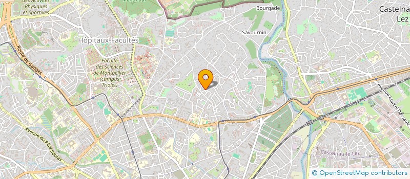 localisation de l'entreprise LE COIN DES REVEURS à MONTPELLIER