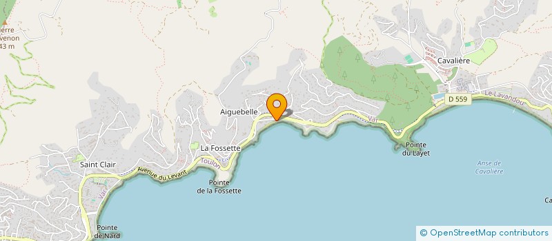 localisation de l'entreprise LE COMMODORE à LE LAVANDOU