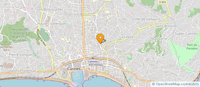 localisation de l'entreprise LE CONSEIL EN ASSURANCES  CANNES